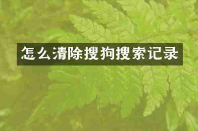 怎么清除搜狗搜索记录