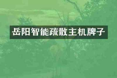 岳阳智能疏散主机牌子