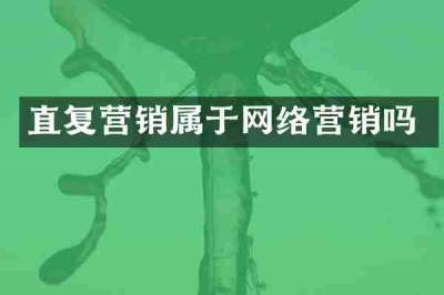 直复营销属于网络营销吗