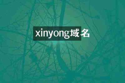 xinyong域名