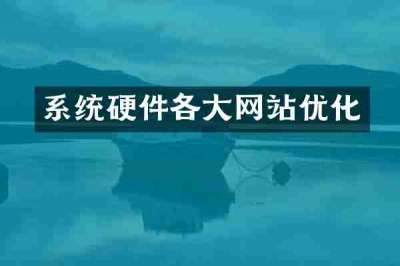 系统硬件各大网站优化