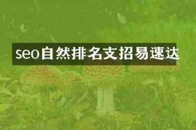 seo自然排名支招易速达