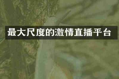 最大尺度的激情直播平台
