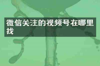 微信关注的视频号在哪里找