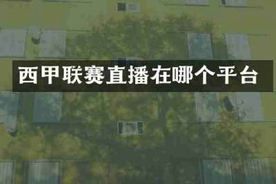 西甲联赛直播在哪个平台