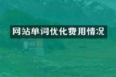 网站单词优化费用情况