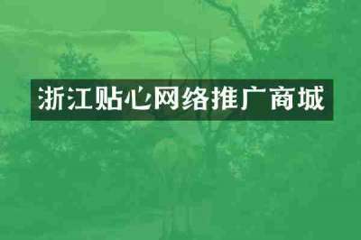 浙江贴心网络推广商城
