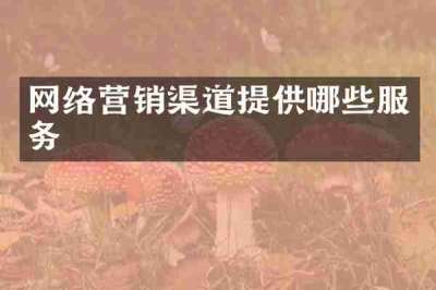 网络营销渠道提供哪些服务