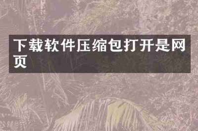 下载软件压缩包打开是网页