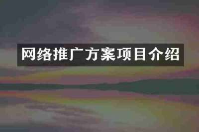 网络推广方案项目介绍