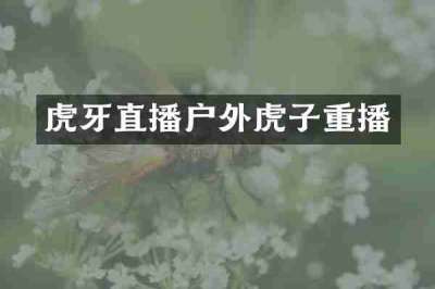 虎牙直播户外虎子重播
