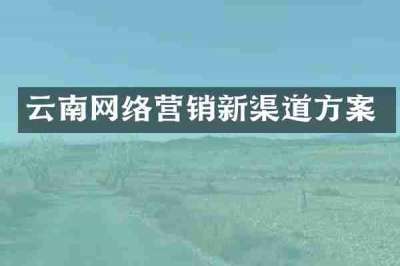 云南网络营销新渠道方案