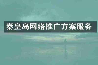 秦皇岛网络推广方案服务