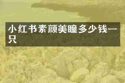 小红书素颜美瞳多少钱一只