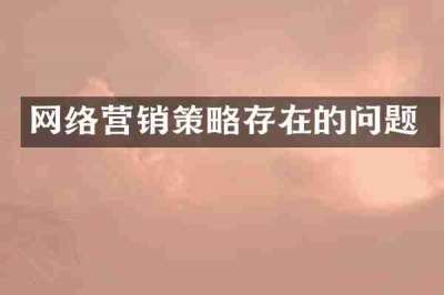 网络营销策略存在的问题
