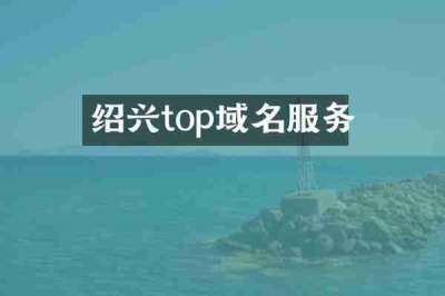 绍兴top域名服务