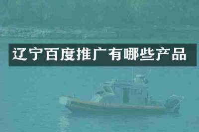 辽宁百度推广有哪些产品