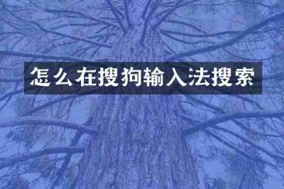 怎么在搜狗输入法搜索