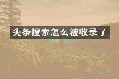 头条搜索怎么被收录了