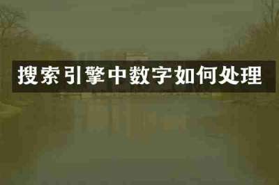 搜索引擎中数字如何处理