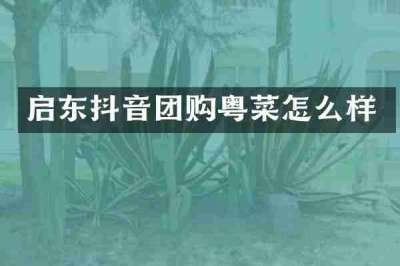 启东抖音团购粤菜怎么样