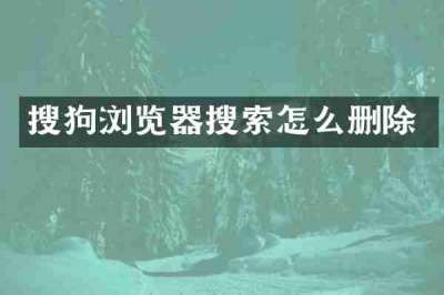 搜狗浏览器搜索怎么删除