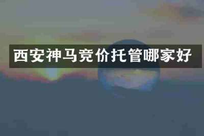 西安神马竞价托管哪家好