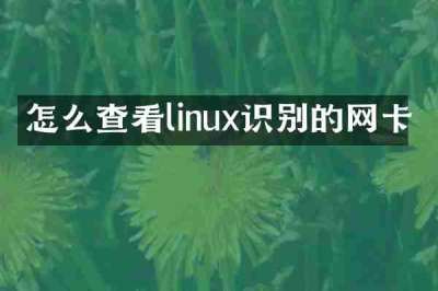 怎么查看linux识别的网卡
