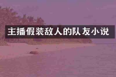 主播假装敌人的队友小说