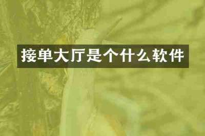接单大厅是个什么软件
