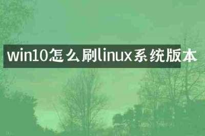 win10怎么刷linux系统版本
