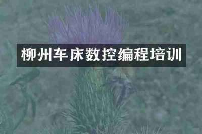 柳州车床数控编程培训