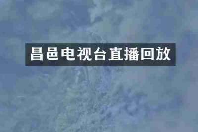 昌邑电视台直播回放