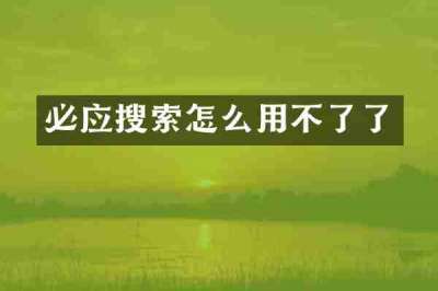 必应搜索怎么用不了了