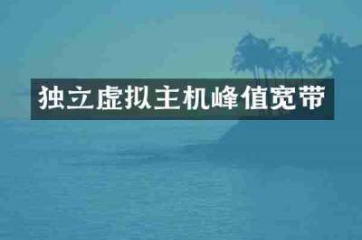 独立虚拟主机峰值宽带