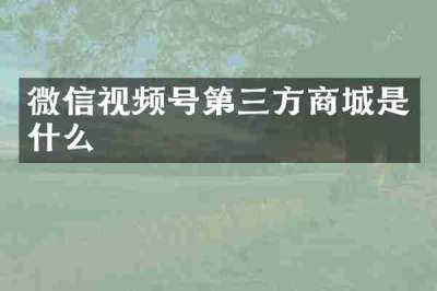 微信视频号第三方商城是什么