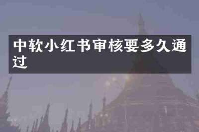 中软小红书审核要多久通过