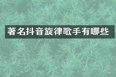 著名抖音旋律歌手有哪些