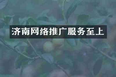 济南网络推广服务至上