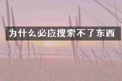 为什么必应搜索不了东西