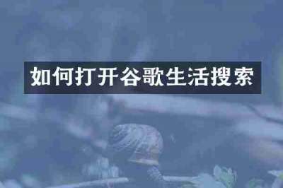如何打开谷歌生活搜索