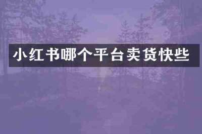小红书哪个平台卖货快些