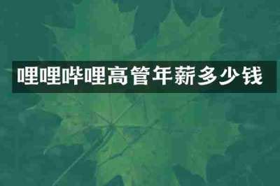 哩哩哔哩高管年薪多少钱