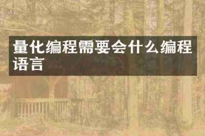 量化编程需要会什么编程语言