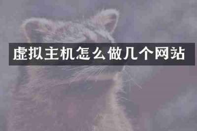 虚拟主机怎么做几个网站