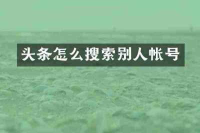 头条怎么搜索别人帐号