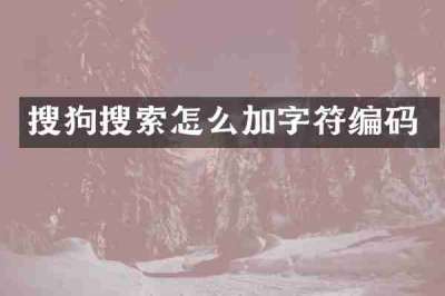 搜狗搜索怎么加字符编码