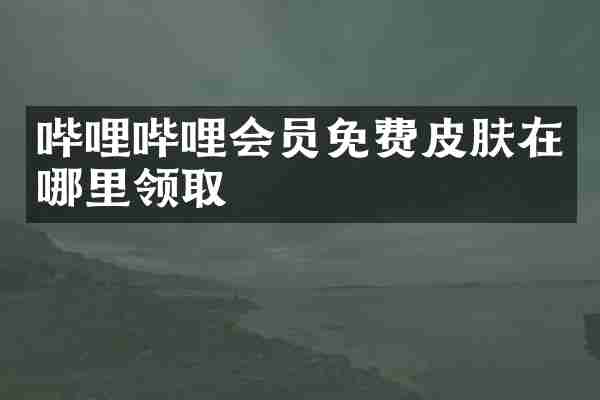 哔哩哔哩会员免费皮肤在哪里领取