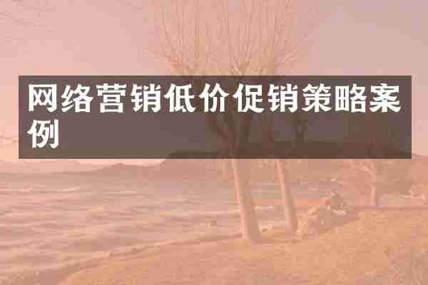 网络营销低价促销策略案例