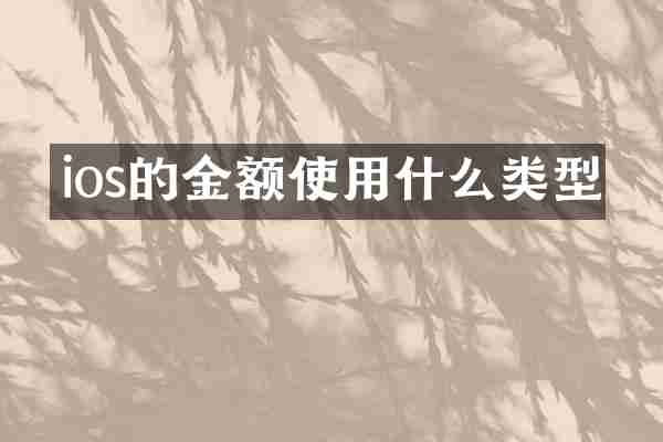 ios的金额使用什么类型